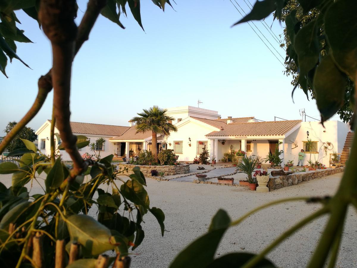 Hotel Casa Fina - Adults Recommended Conil De La Frontera Bagian luar foto
